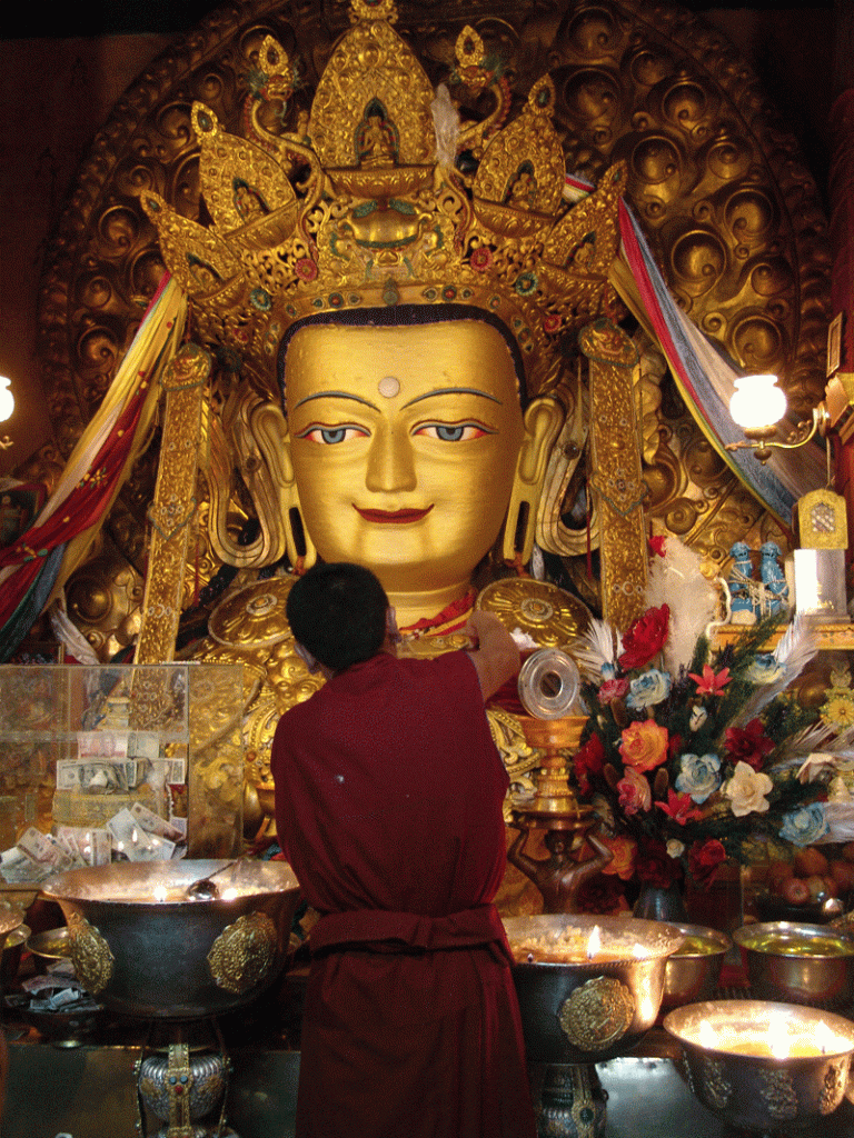 Tibet - monks offer butter tea to buddha